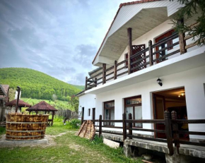 Casa Ariana